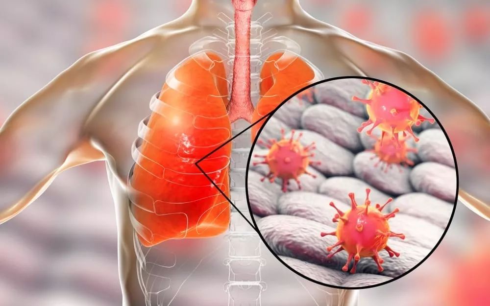 旺财28赛事意大利杯赛程吃紧；里尔赛后调整名单；媒体盛赞；医务组通报恢复的简单介绍